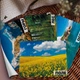 Картки Домана ''Природа'' російською мовою, у наборі 16 карток - зображення 1