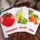 Карточки Домана ''Овощи'' на русском языке, в наборе 24 карточек - изображение 1