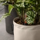 Розумний вазон Lechuza TRENDCOVER 32 Vegan Leather антрацит - изображение 5