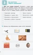 НУШ Інформатика. Робочий зошит. 3 клас (9789669452054) - изображение 7
