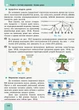 Інформатика (рівень стандарту). Підручник для 10(11) класу закладів загальної середньої освіти (9786170943545) - зображення 3