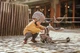 Дитячий самокат Scoot & Ride ighwaykick 1 Lifestyle 2 в 1 Brown Lines, 4897033966054 - зображення 7