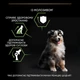 Сухой корм для щенков Purina Pro Plan Medium Puppy с курицей 12 кг (7613035120402) - изображение 7