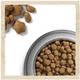 Сухий корм для собак Purina Dog Chow Sensitive з лососем 2.5 кг (7613034488268) - зображення 7