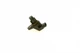 Датчик распредвала BOSCH 0 232 103 107 Mercedes Sprinter, GLK-Class, Vito, A-Class, GLA-Class, C-Class, GLE-Class, E-Class, B-Class, CLS-Class, V-Class, CLA-Class, M-Class, S-Class, GLC-Class A6519050100, A0061537728, 6519050100 - изображение 3