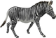 Figurka Collecta Zebra Grevy XL 13 cm (4892900887739) - obraz 1