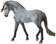 Figurka Collecta Andalusian Stallion Gray 24 cm (4892900895550) - obraz 1