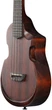 Укулеле концертная Ibanez AUC14 OVL - изображение 5