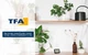 Термометр кімнатний TFA 30106501 - зображення 7