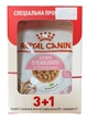 Набір вологого корму Royal Canin KITTEN STERILISED IN GRAVY (Соус) для стерилізованих кошенят 3+1 273577007134 - изображение 2