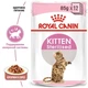 Набір вологого корму Royal Canin KITTEN STERILISED IN GRAVY (Соус) для стерилізованих кошенят 3+1 273577007134 - изображение 3