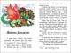 Українські казки (9786170986382) - зображення 2