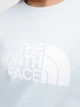 Свитшот женский The North Face NF0A3S4GO0R1 XS Голубой (196575388640) - изображение 4
