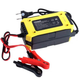 Автоматическое зарядное устройство для аккумулятора Pulse Battery Charger 6A JN96UG85V6 - изображение 2