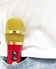 Беспроводной портативный мини микрофон караоке MicMagic L-1258 DSP+TWS 20 Вт Золотой - изображение 4