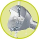 Блендерная ножка (погружная насадка) для блендера Philips ProMix HR2536, HR2537, HR2538, HR2543, HR2545, 300005926131, CP1375/01 - изображение 9