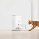 Розумна автоматична годівниця для домашніх тварин Catlink Automatic Feeder FRESH 2 Luxury (CL-FD-02) - зображення 14