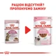 Вологий корм для кошенят Royal Canin Kitten Sterilised Gravy pouch 9+3 шт х 85 г - изображение 7