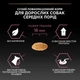 Сухой корм для собак Purina Pro Plan Medium Adult Sensitive с лососем 14 кг (7613035120464) - изображение 9