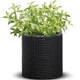 Горщик для квітів Keter Small Cylinder Planter антрацит 229120 - зображення 2