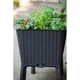 Горщик для квітів Keter Easy Grow графіт 230298 - зображення 4