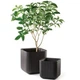 Горшок для цветов Keter Cube Planter M черный 230225 - изображение 4