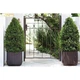 Горшок для цветов Keter Cube Planter M коричневый 229533 - изображение 3