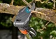 Высоторез Gardena StarСut 410 Plus (12001-20) - изображение 7
