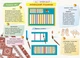 Альбом з малювання. Для дітей 6-го року життя, Ч.1 - РАНОК Д133011У (121997) - изображение 4