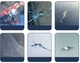 Ремкомплект для лобового стекла Xiame Windshield полимерный клей (PH050844) - изображение 7