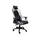 Кресло игровое Trust GXT714W Ruya Eco White (25065) - изображение 1