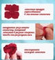 Искусственные лепестки роз 500шт красные - изображение 3