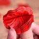 Искусственные лепестки роз 500шт красные - изображение 10