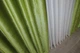 Комплект готових штор VR-Textil Оксамит № 902ш Салатовий 150х280 см 2 шт (30-707) - зображення 7
