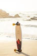 Лонгборд пинтейл Arbor Performance Complete Groundswell Fish 93.98 см (sk2244) - изображение 5