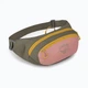 Поясная сумка Osprey Daylite Waist Сірий-Рожевий - изображение 1