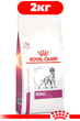 Сухой корм Royal Canin Renal Dog для взрослых собак при острой или хронической почечной недостаточности 2 кг - изображение 1