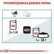 Влажный корм для кошек Royal Canin Hairball Care для котов выведение шерсти 85г - изображение 4