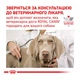Cухий корм Royal Canin Mobility Support для собак лікувальний 4кг - зображення 2