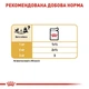 Влажный корм Royal Canin Chihuahua для взрослых собак породы чихуахуа в возрасте от 8 месяцев 85г - изображение 4