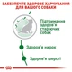 Сухой корм Royal Canin Mini Ageing 12+ для собак малых пород старше 12 лет 0.8 кг - изображение 2