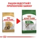 Сухой корм Royal Canin Shih Tzu Adult специальный корм для собак породы ши-тцу 3 кг - изображение 4