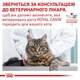 Сухой корм Royal Canin Urinary S/O Cat для кошек при заболеваниях нижних мочевыводящих путей 7 кг - изображение 2