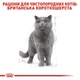Сухой корм Royal Canin British Shorthair Adult для взрослых кошек породы британская короткошерстная 0.4кг - изображение 2