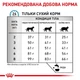 Сухий корм Royal Canin Hypoallergenic Cat дієтичний для котів при небажаній реакції на корм 5 кг - зображення 6