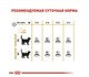 Вологий корм Royal Canin Hair & Skin Care In Gravy для котів для підтримання здоров'я шкіри та блиску шерсті 85г - зображення 4