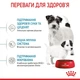 Сухой корм Royal Canin Mini Starter для щенков кормящих и беременных собак малых пород 2кг - изображение 3