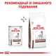 Влажный корм Royal Canin Gastrointestinal Low Fat Dog диетический корм для собак 420г КОМПЛЕКТ 12 шт - изображение 3