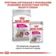 Сухий корм Royal Canin Mini Exigent для собак вагою до 10 кг вибагливих до корму 3кг - зображення 2