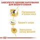 Сухой корм Royal Canin French Bulldog Adult для взрослых собак породы французский бульдог 3кг - изображение 4